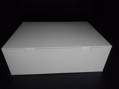 CAJA PASTEL 14X10